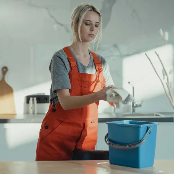 professional house cleaner