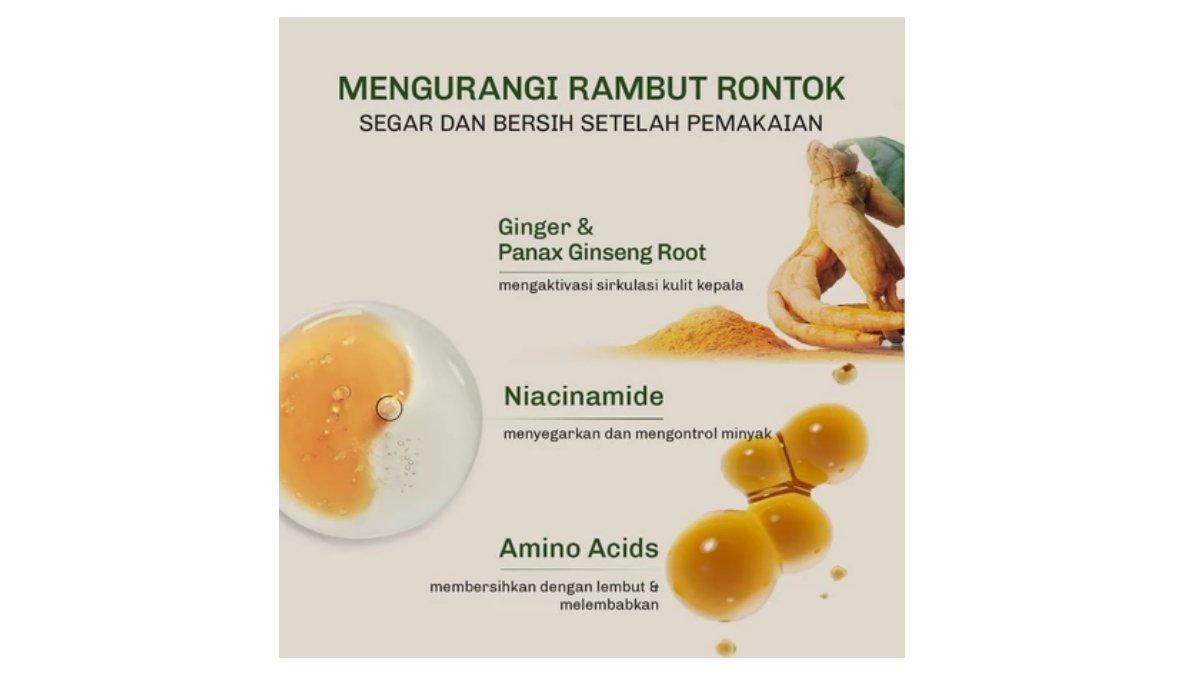Ilustrasi kandungan utama Lavojoy Hold Me Tight Pro Shampoo