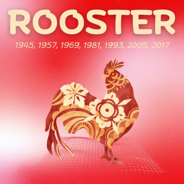 rooster chinese zodiac signs wealth success April 28 2026