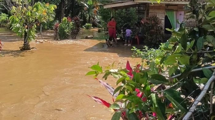 Banjir menerjang Desa Bukit Makmur, Kecamatan Bolano Lambunu, Kabupaten Parigi Moutong, Sulawesi Tengah.