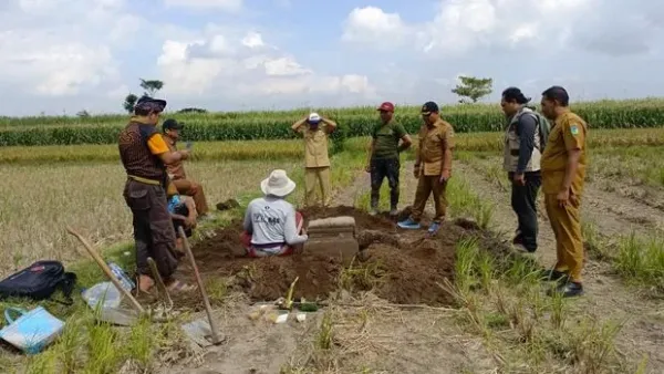 Penemuan artefak yoni di sawah Kediri