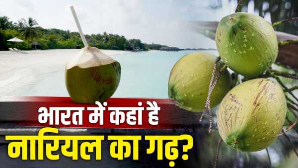Coconut: Neither Kerala, nor Tamil Nadu, which state provides the most coconut to the country? demand till vietnam
