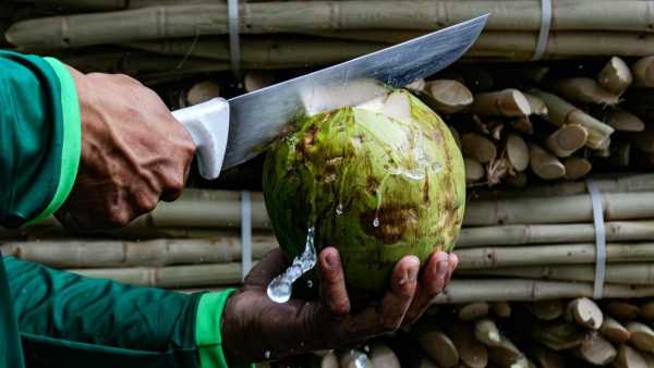 Coconut Production in India