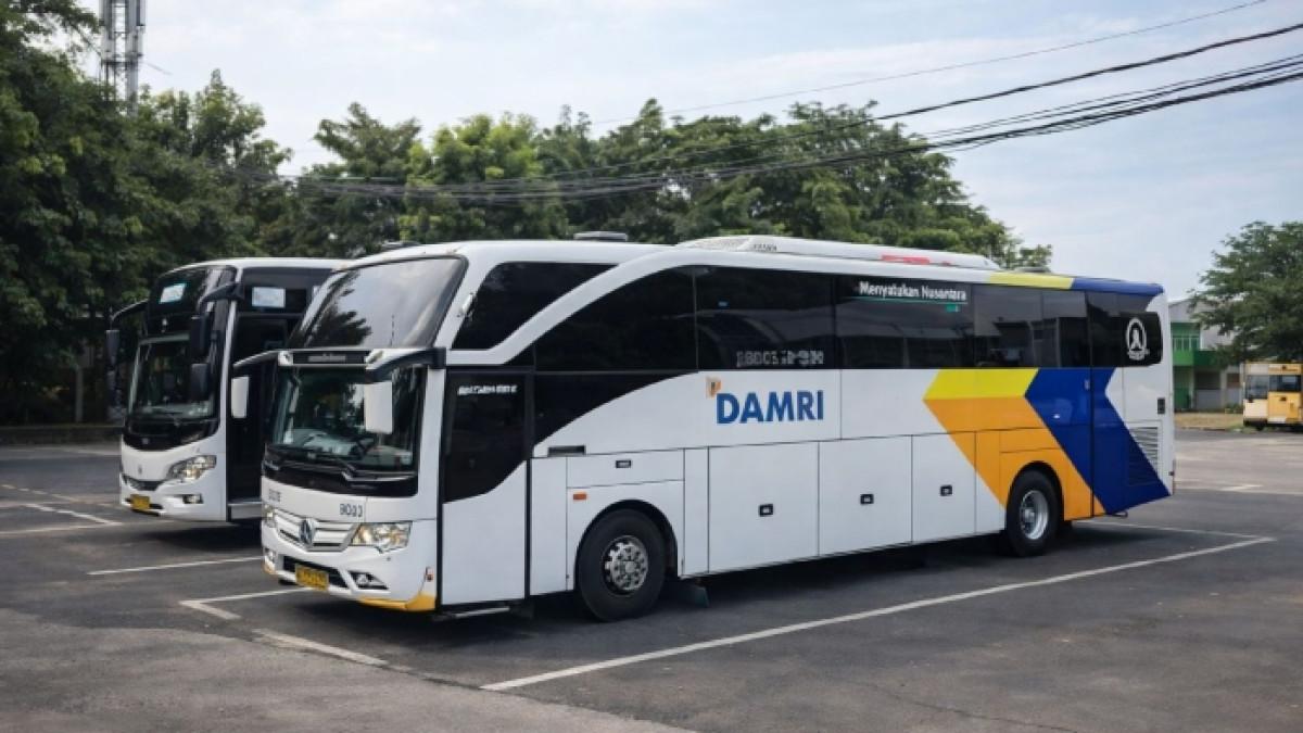Naik DAMRI ke Baduy sekarang cuma Rp 1, tapi kuotanya terbatas banget!