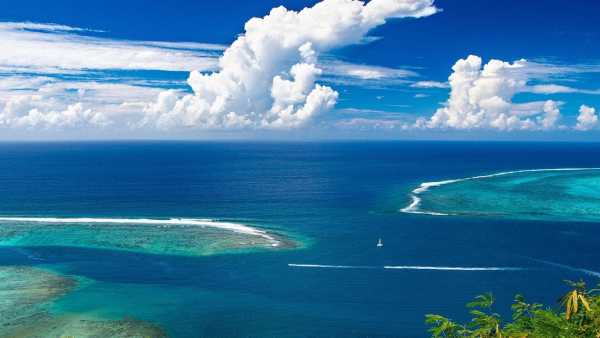 Pacific Ocean (1)