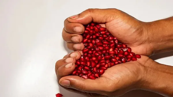 Eating them regularly may reduce the risk of heart disease and keep cholesterol in control.