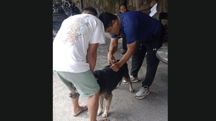 Vaksinasi: Kegiatan vaksinasi rabies di Kabupaten Bangli, Bali, Rabu 29 April 2026. Pasca Bocah Tewas Digigit Anjing, Pemkab Bangli Gencarkan Vaksinasi Rabies hingga ke Monyet
