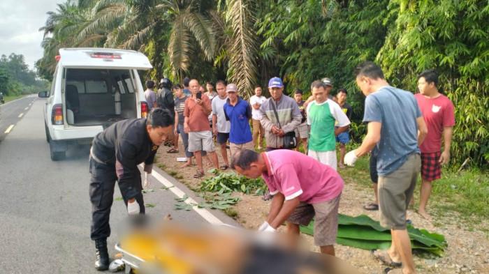 LAKA SANGGAU - Evakuasi seorang pria yang diduga jadi korban tabrak lari di Jalan Raya Bodok-Sosok, di Dusun Baharu, Desa Suka Gerundi, Kecamatan Parindu, Kabupaten Sanggau, Kalimantan Barat, pada Selasa 28 April 2026 sekitar pukul 05.54 Wib.