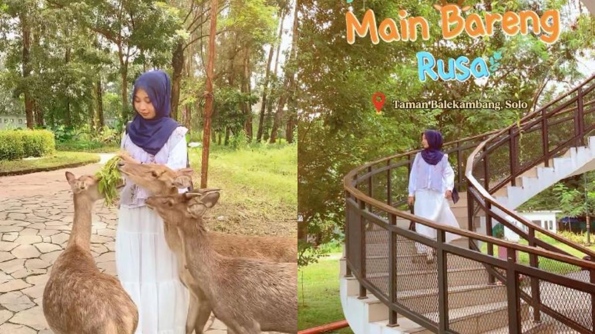 Taman Balekambang, suasananya yang tenang, ramah, dan sarat budaya menjadikannya pilihan tepat untuk berwisata bersama keluarga.