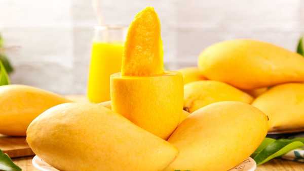 mango 1