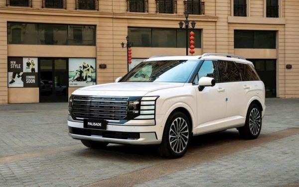 Hyundai Palisade - Ảnh 1.