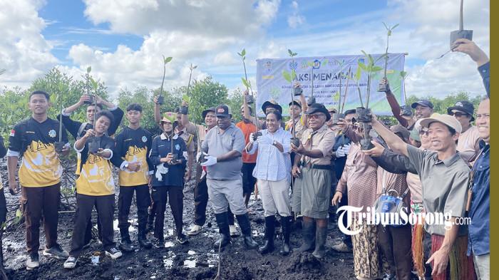 20260501_tanam mangrove