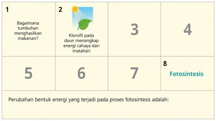 Soal Materi Buku IPAS Kelas 4 SD Kurikulum Merdeka Halaman 11