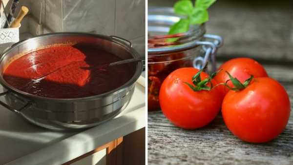 How To Store Tomato For Long Time