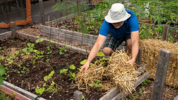 How To Keep Plants Green Even When You Are Not Home