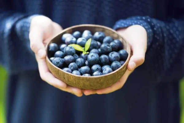 Berry