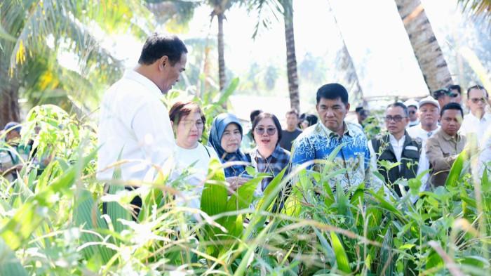 BANTUAN: Gubernur YSK dampingi Menteri Pertanian RI Andi Amran Sulaiman, saat melakukan kunjungan kerja di lokasi pembibitan Kelurahan Bengkol, Kota Manado, Sulawesi Utara, Jumat (1/5/2026). Pemerintah pusat melalui Kementerian Pertanian RI menyetujui bantuan bibit jagung untuk lahan seluas 15.000 hektare.