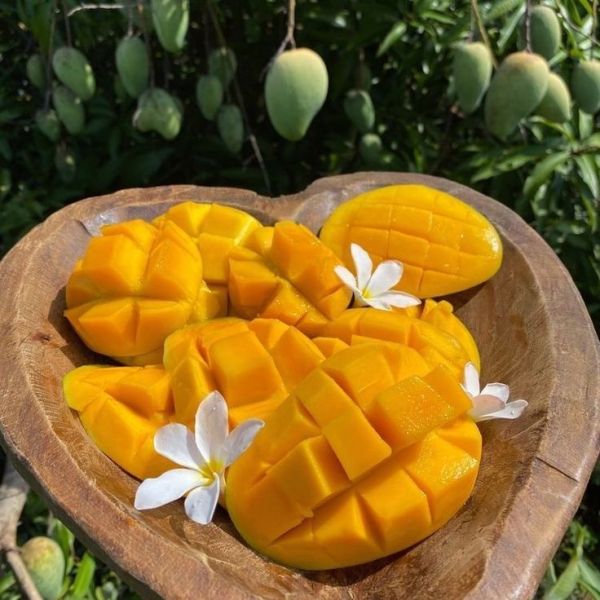 Pinterest