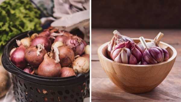 Garlic And Onion