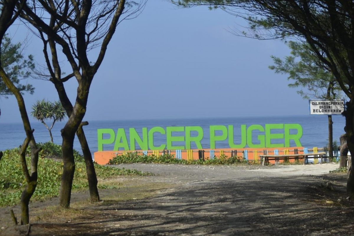 Pantai Pancer Puger merupakan pantai dengan air laut berwarna biru dan pasir pantai berwarna hitam. 