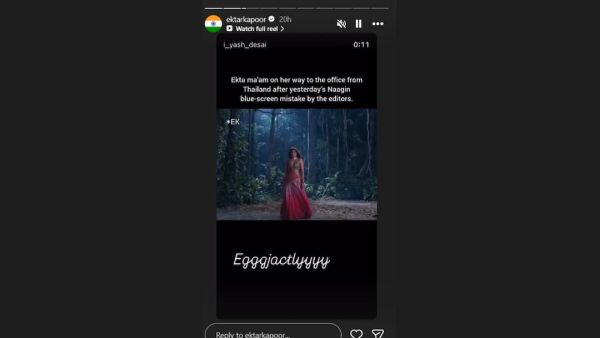 (Image Source: Instagram/@ektarkapoor)