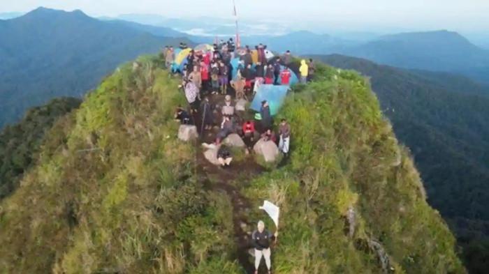 PUNCAK Gunung Halau-Halau Di HST yang viral karena ditutup permanen.