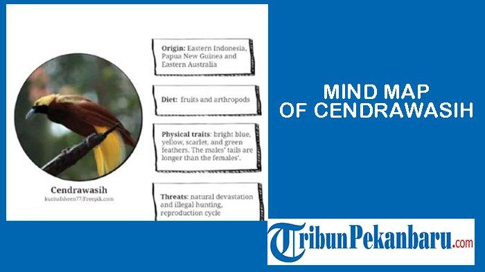 Mind Map of Cendrawasih.