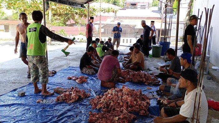 KURBAN IDULADHA – Sebanyak 10 ekor hewan kurban disembelih di Masjid Babul Afiat, Jalan Kurungan Bassi, Kelurahan Rimuku, Kecamatan Mamuju, Kabupaten Mamuju, Sulawesi Barat (Sulbar), Jumat (6/6/2025). Daging kurban akan disalurkan kepada Pegawai Tidak Tetap (PTT) RSUD Mamuju, masyarakat sekitar Masjid Babul Afiat, serta para pekerja yang terlibat dalam proses penyembelihan.