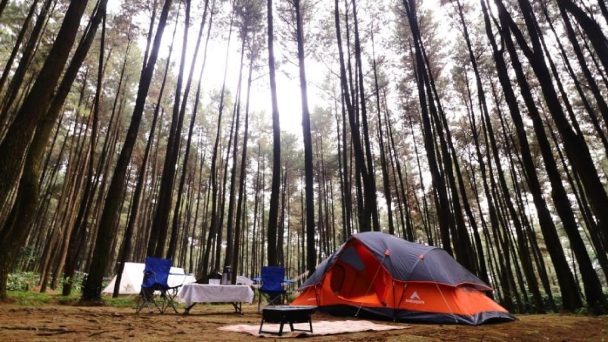 Wisatawan mendirikan tenda untuk camping di Gunung Pancar Bogor, Jawa Barat.