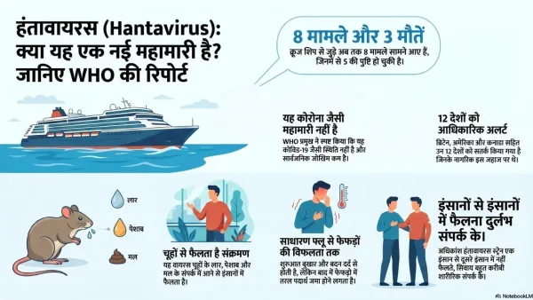 Hantavirus, Infograpghic
