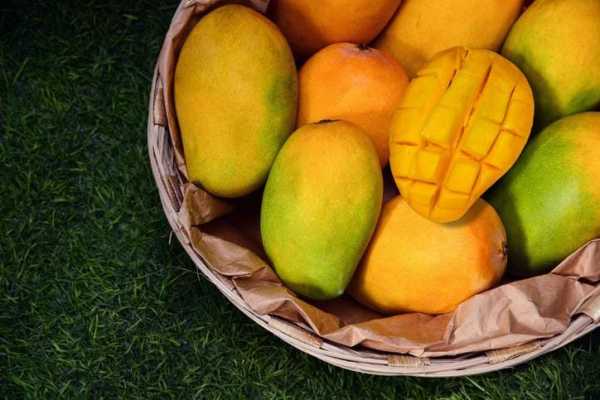 Mango
