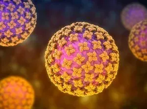 23 Kasus Hantavirus Tersebar di 9 Provinsi, Terbanyak di DKI