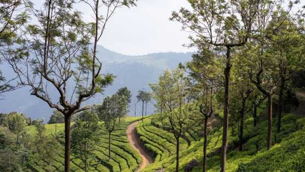Tamilnadu Coonoor Hill Station Nature Photography