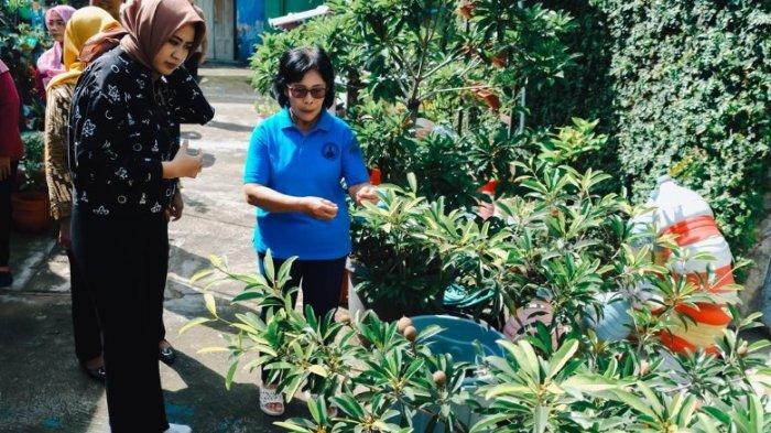 Wakil Wali Kota Solo Astrid Widayani meninjau kegiatan Kelompok Wanita Tani (KWT) di Kelurahan Timuran, Jumat (8/5/2026)