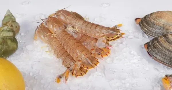 Seafood
