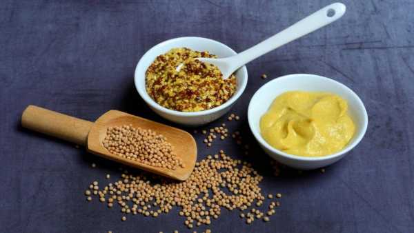 Mustard Paste