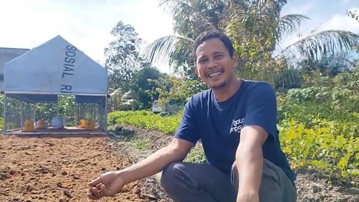 KANDANG BERPINDAH - Pembudidaya asal Kecamatan Dendang, Belitung Timur, Asror di atas petakan tanah bekas kandang ayam berpindah miliknya, Minggu (10/5/2026). Memanfaatkan campuran kotoran hewan, arang sekam, dan abu boiler, Asror menciptakan formula pupuk organik mandiri yang mampu memperbaiki kualitas tanah terdegradasi sekaligus menjadi solusi di tengah melambungnya harga pupuk kimia.