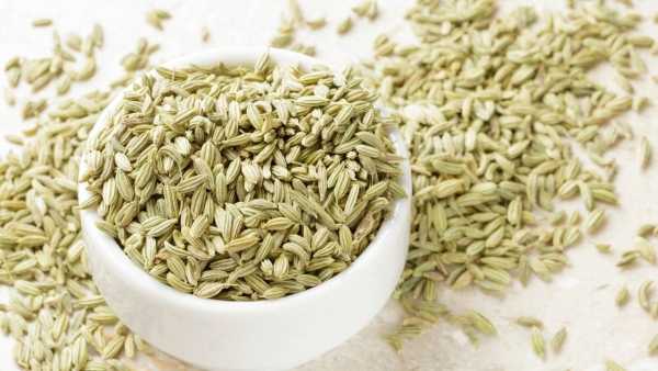 Saunf Fennel For Summer Days