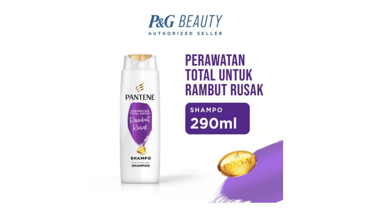 Ilustrasi Pantene Shampoo Perawatan Rambut Rusak 290 ml