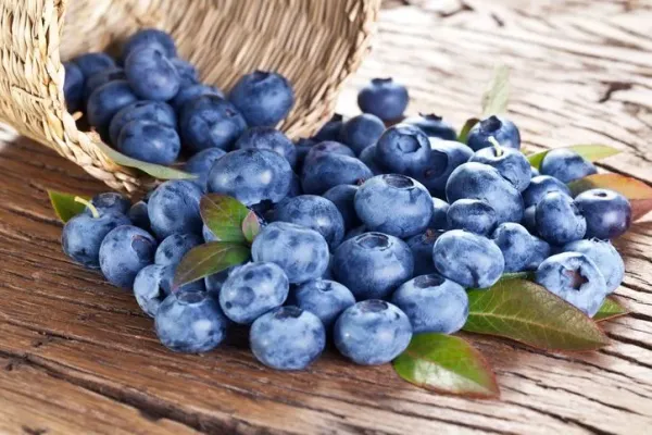 Blueberry