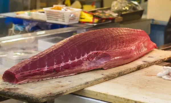 Bluefin tuna dari pulau kecil di Italia