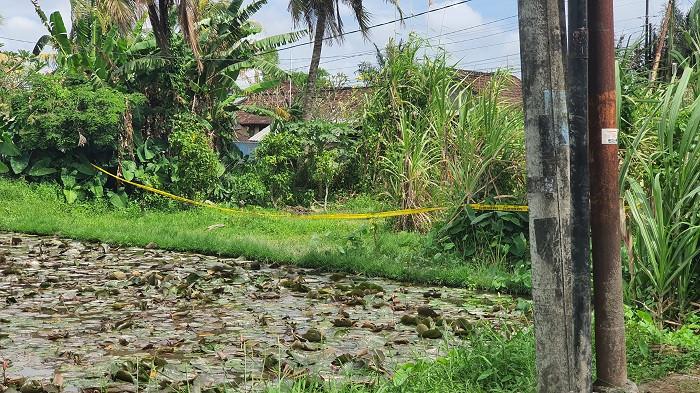 TKP - Situasi TKP penemuan mayat yang berlokasi di Banjar Cabe Darmasaba Badung pada Rabu 13 Mei 2026.