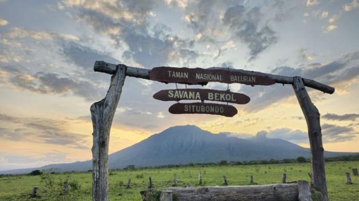 Panorama Taman Nasional Baluran, 