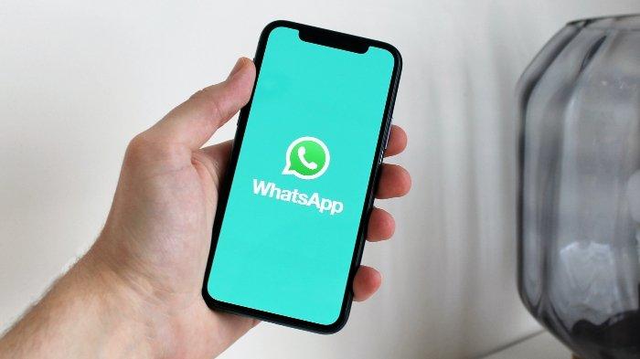 Pakai aplikasi WhatsApp versi terbaru untuk menghindari bug.
