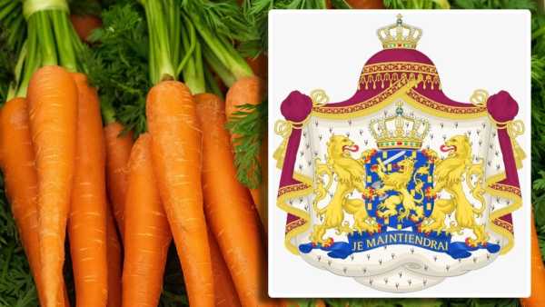 House Of Orange Nassau
