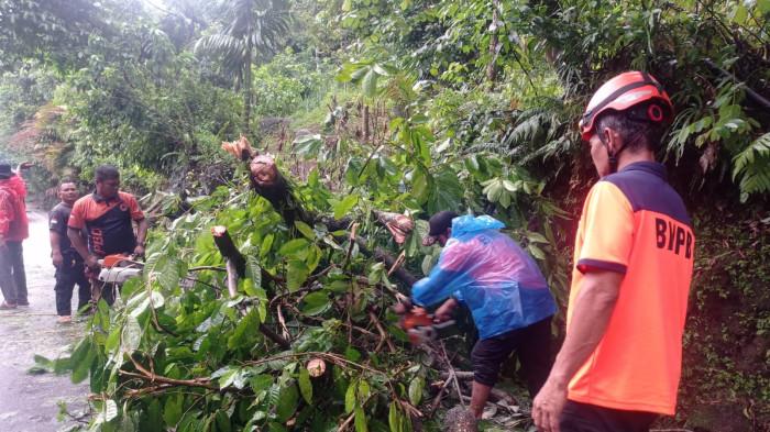 POHON TUMBANG - Tim Rescue PB BPBD Padang evakuasi pohon tumbang yang melintang di Jalan Raya Padang-Painan KM 15, Kelurahan Gates, Kecamatan Lubuk Begalung Nan XX, Jumat (15/5/2026) sore.