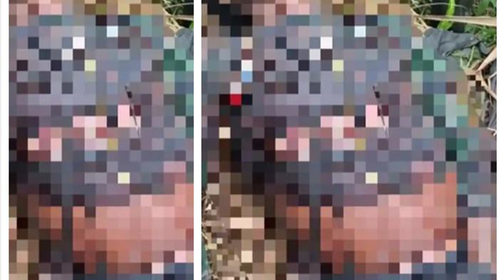 PELAJAR TERTEMBAK - Seorang pemuda di Kabupaten Dogiyai yang diduga berstatus pelajar bernama Nopison Tebay (17) tewas tertembak aparat Polres Dogiyai, Provinsi Papua Tengah, Minggu (10/5/2026). Polisi mengklaim Nopison Tebay adalah salah satu dari anggota Kelompok Kriminal Bersenjata (KKB). Sementara itu pihak sekolah menyatakan bahwa Nopison Tebay tidak terkait dengan organisasi KKB.