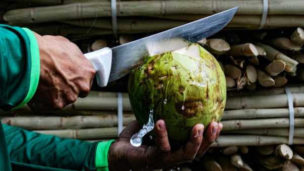 Coconut Capital Of India