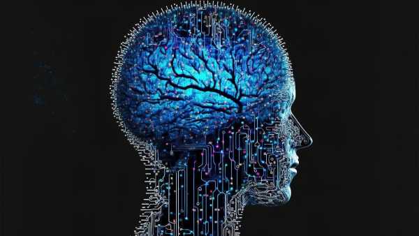 brain