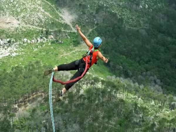 bungee